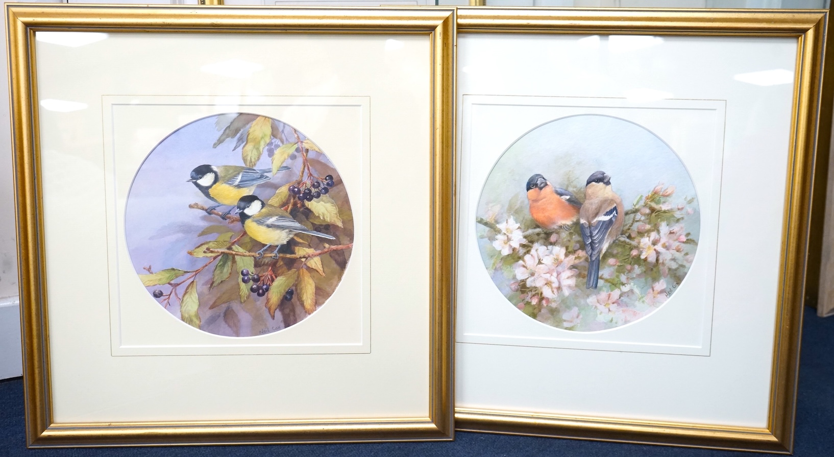 Neil Cox (b.1955), ‘Bull finches’ and ‘Great tits’, signed, pair of watercolours, tondo, 22cm